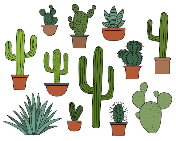 Cartoon Cactus Potted Plant Plant Cactus PNG , Cacto Clipart