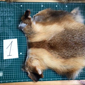 Fur Natural fox Red  Scrap fur Red Fox scraps Natural fox fur Fox fur mix Crafting fur Fur remnants Long furry scraps Art project fur