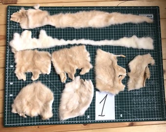 テンの剥製（冬毛） テンの毛皮 - Etsy 日本