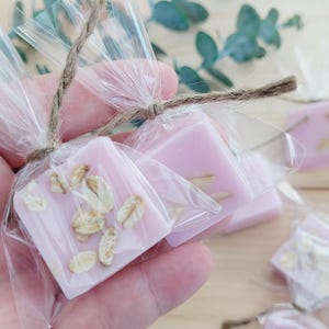 10-60 pezzi Deliziosi piccoli saponi di farina d'avena fatti a mano Grazie bomboniere Mini saponette bomboniere per la festa nuziale Set di saponi naturali per la festa nuziale