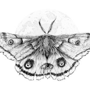 May include: A black and white pencil drawing of a moth with large wings and a single eye in the center of its body. The moth is flying in front of a full moon.
