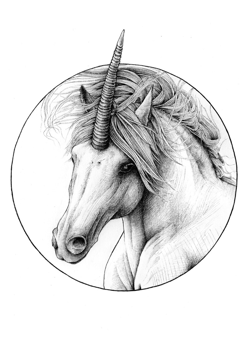 unicorn a4 open edition giclee art print horse drawing