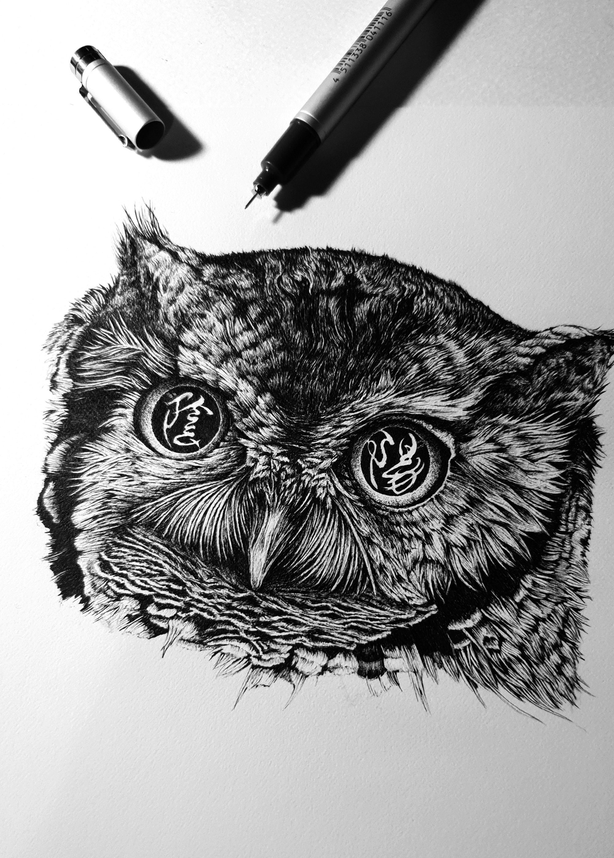 The Yin & The Yang Owl: A4 Open Edition Giclée Art Print Owl | Etsy
