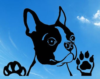 Boston Terrier Svg Etsy