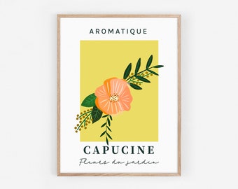 Affiche florale CAPUCINE