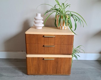 Set of 2 vintage wooden (bedside) tables from the 1950s, A.A. Patijn for Zijlstra