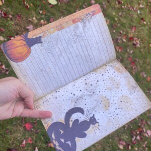 May include: An open journal with a Halloween theme. The front cover features a pumpkin with a black cat on top. The back cover features a black cat sitting on a jack-o-lantern. The pages are lined and have a vintage look.
