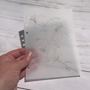 May include: A translucent sheet with a pencil sketch of lilies. The floral design features detailed petals and stems. The sheet has three holes on the left side, suggesting it's designed for a binder or planner.