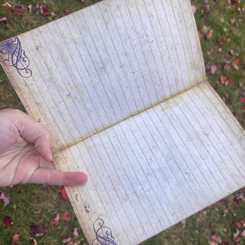 May include: An open lined journal with a vintage aesthetic. The cover features a decorative design with a spider web and swirls in black and purple.