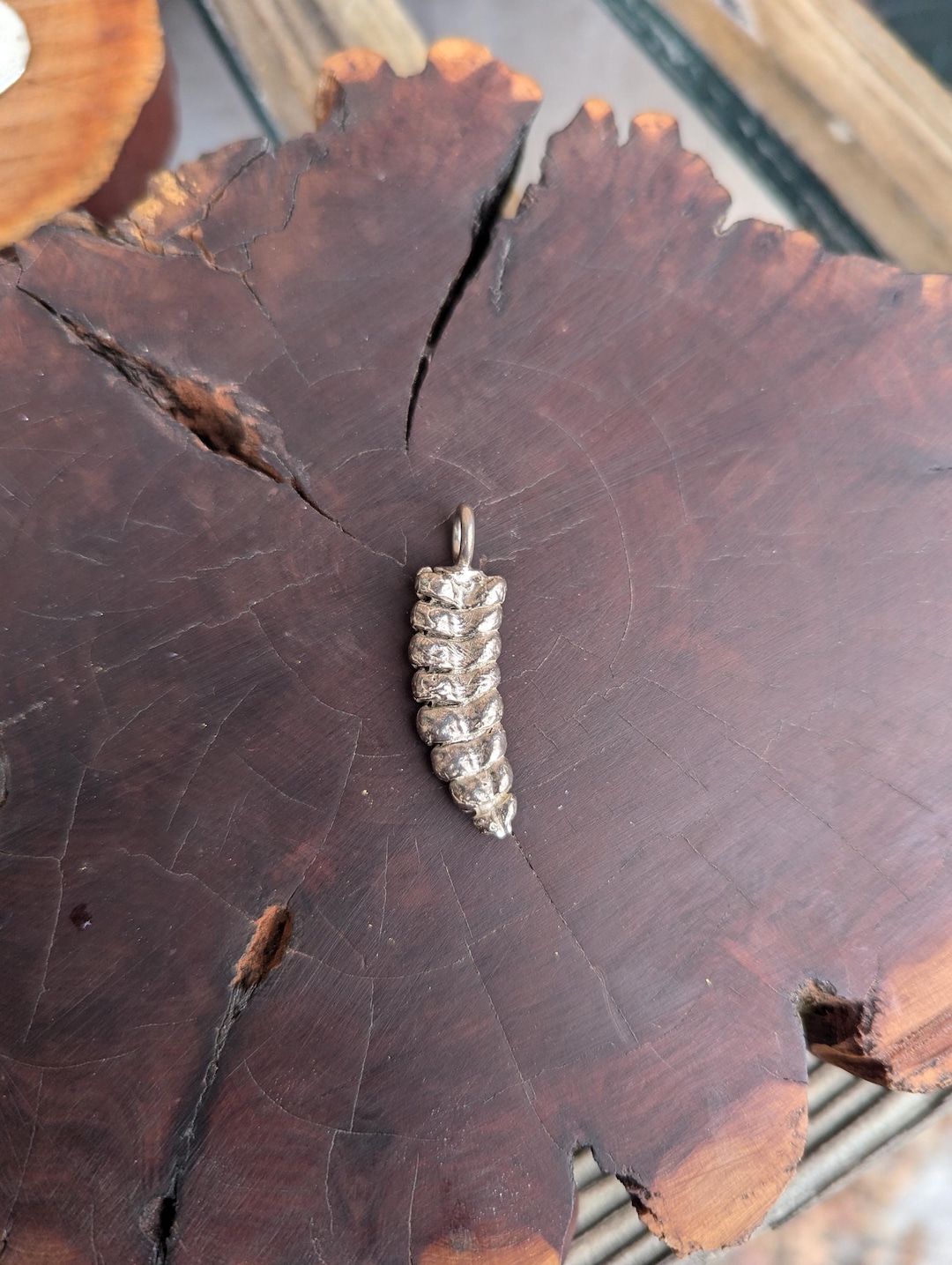 Silver Rattlesnake Rattle - Etsy