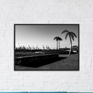 May include: Black and white photograph of a harbor scene with palm trees in the foreground and cranes in the background.
