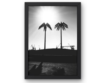 Puede incluir: Fotografía en blanco y negro de dos palmeras silueteados contra un sol brillante. Los árboles están frente a una colina con grúas industriales en el fondo.
