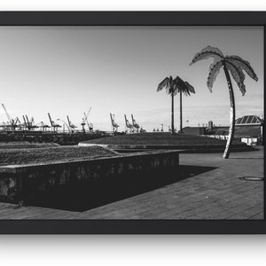 May include: A black and white photograph of a city scene with two palm trees in the foreground. The palm trees are made of metal and are shaped like a traditional palm tree. In the background, there are several cranes and buildings. The scene is a juxtaposition of nature and industry.