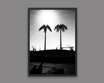 May include: Black and white photograph of two palm trees silhouetted against a bright sky. The trees are in front of a row of industrial cranes.