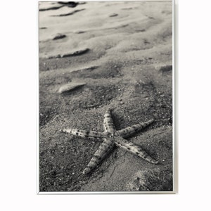 Könnte beinhalten: Ein Schwarzweißfoto eines Seesterns auf einem Sandstrand.