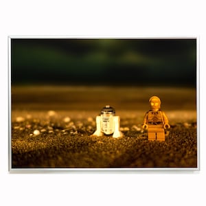 R2D2 - C-3PO - Beach - Toy - Photography - Poster - May the 4th - Starwars