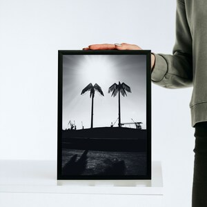 Palmen aus Plastik Poster printable Fotografie Download Hamburg