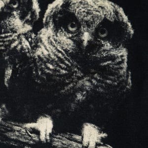 May include: A black fabric garment featuring a high-contrast, off-white graphic print of two owls perched on a branch. The detailed illustration captures the textured feathers, large round eyes, and sharp talons of the birds against the dark background.