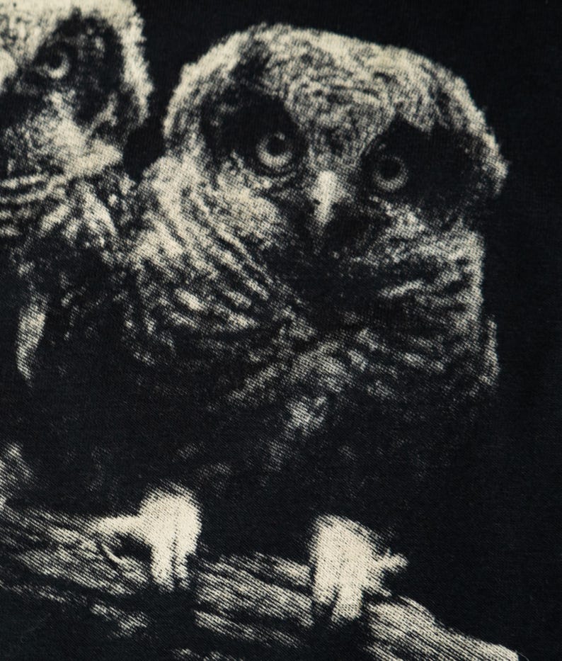 May include: A black fabric garment featuring a high-contrast, off-white graphic print of two owls perched on a branch. The detailed illustration captures the textured feathers, large round eyes, and sharp talons of the birds against the dark background.