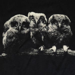 May include: A black t-shirt featuring a high-contrast, off-white graphic print of three young owls perched together on a branch. The owls are depicted with detailed, textured feathers and large, forward-facing eyes, centered on the front of the shirt.