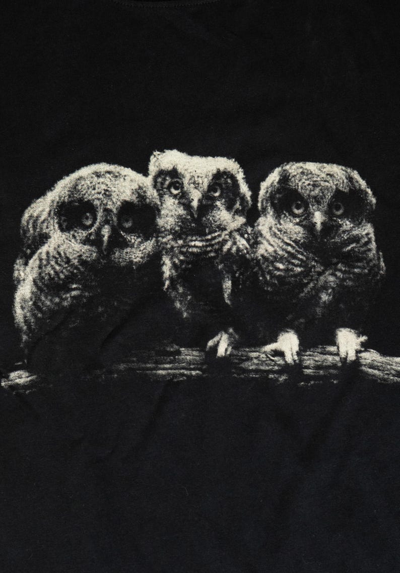 May include: A black t-shirt featuring a high-contrast, off-white graphic print of three young owls perched together on a branch. The owls are depicted with detailed, textured feathers and large, forward-facing eyes, centered on the front of the shirt.
