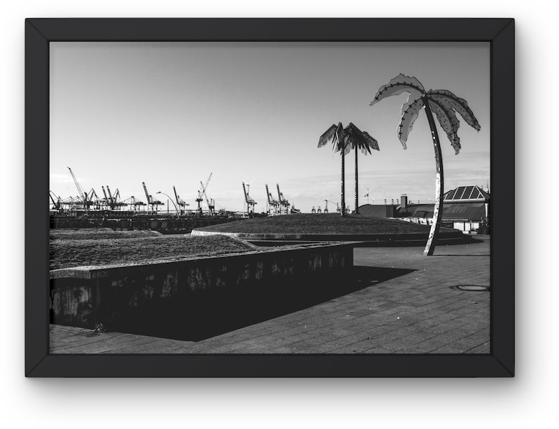 May include: A black and white photograph of a city scene with two palm trees in the foreground. The palm trees are made of metal and are shaped like a traditional palm tree. In the background, there are several cranes and buildings. The scene is a juxtaposition of nature and industry.