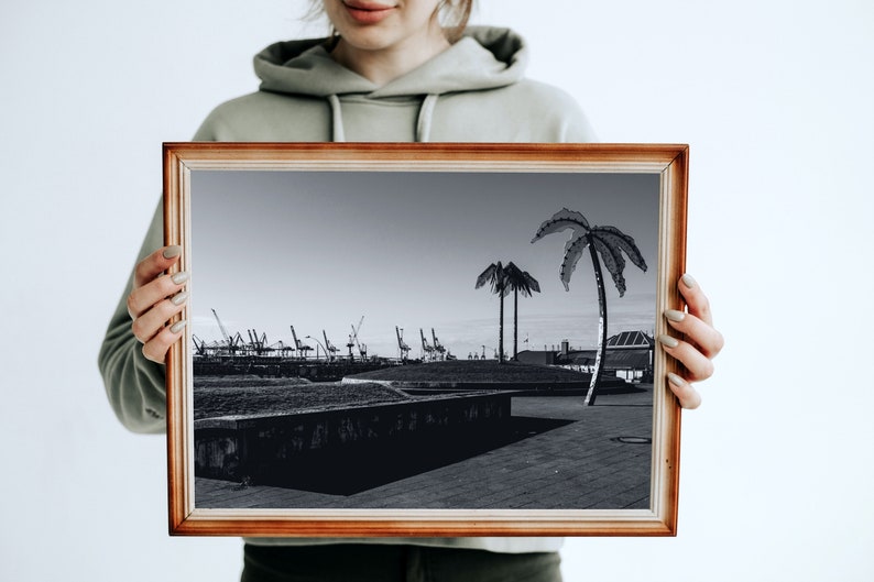 May include: A framed black and white photograph of a harbor scene with palm trees in the foreground. The harbor has several cranes and buildings in the background.