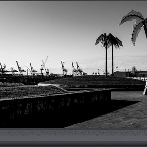 May include: A black and white photo of a laptop screen showing a view of a harbor with cranes and palm trees in the foreground. The palm trees are made of metal and are silhouetted against the sky.