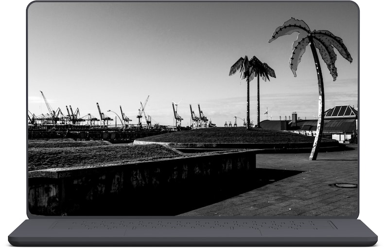 May include: A black and white photo of a laptop screen showing a view of a harbor with cranes and palm trees in the foreground. The palm trees are made of metal and are silhouetted against the sky.