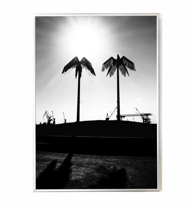 Puede incluir: Fotograf&iacute;a en blanco y negro de dos palmeras silueteados contra un sol brillante. Los &aacute;rboles est&aacute;n frente a una silueta de un puerto con gr&uacute;as.