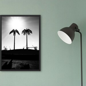 Puede incluir: Fotograf&iacute;a en blanco y negro de dos palmeras silueteados contra un sol brillante. Los &aacute;rboles est&aacute;n frente a una ciudad con gr&uacute;as en el fondo.
