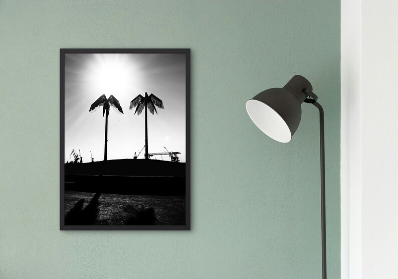 Puede incluir: Fotograf&iacute;a en blanco y negro de dos palmeras silueteados contra un sol brillante. Los &aacute;rboles est&aacute;n frente a una ciudad con gr&uacute;as en el fondo.