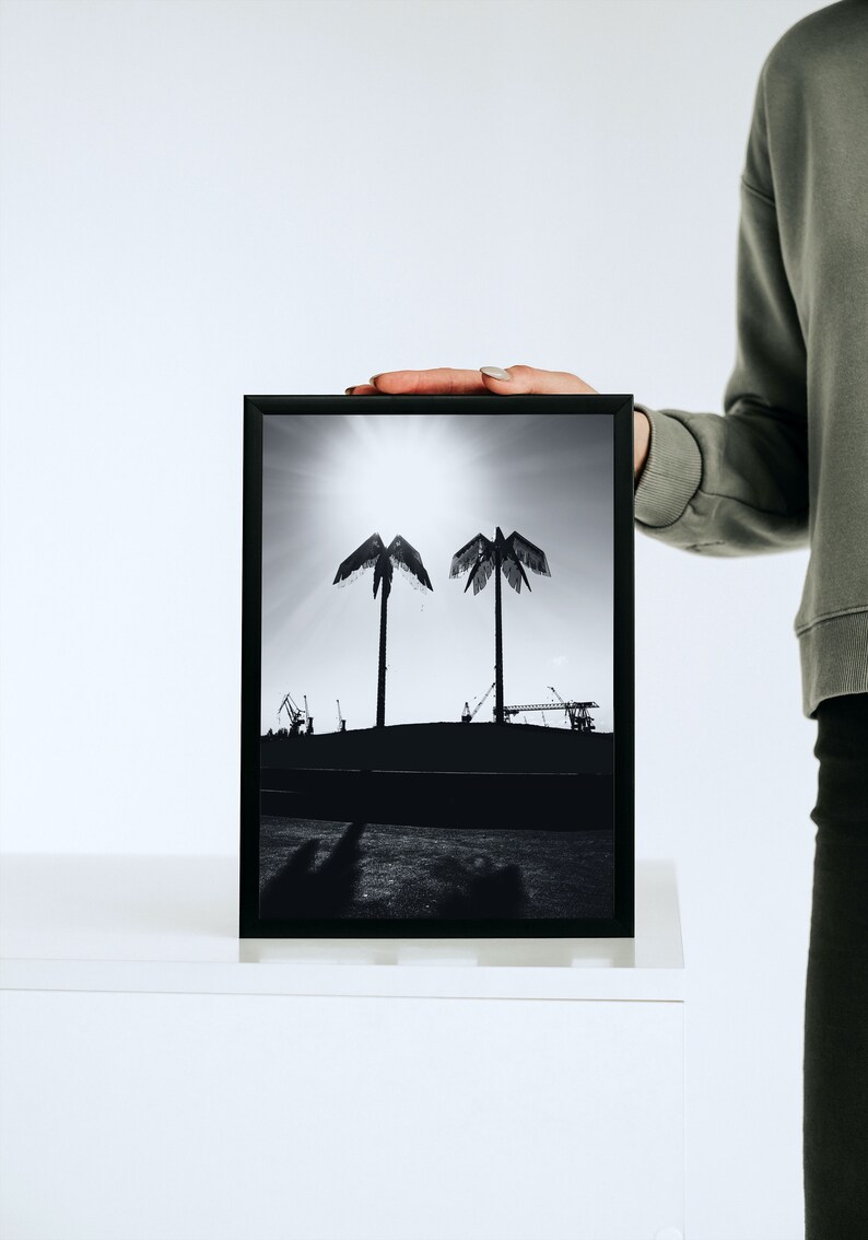 Puede incluir: Fotograf&iacute;a en blanco y negro de dos palmeras silueteados contra un cielo nublado. La foto est&aacute; enmarcada en un marco negro y est&aacute; sobre una superficie blanca.