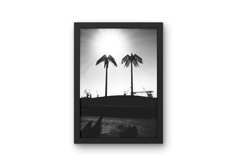 Puede incluir: Fotograf&iacute;a en blanco y negro de dos palmeras silueteados contra un sol brillante. Los &aacute;rboles est&aacute;n frente a una colina con gr&uacute;as industriales en el fondo.