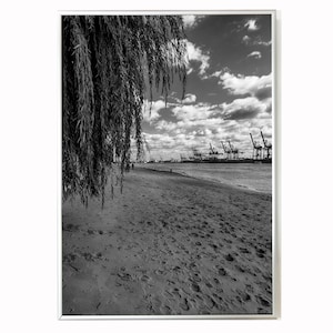 Op de afbeelding: Een zwart-witfoto van een zandstrand met een treurwilg op de voorgrond. In de verte zijn er verschillende grote kranen aan de waterkant te zien.