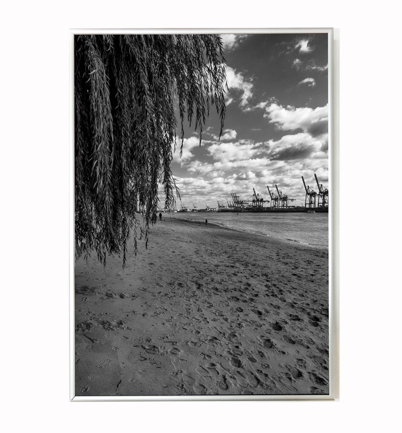 Op de afbeelding: Een zwart-witfoto van een zandstrand met een treurwilg op de voorgrond. In de verte zijn er verschillende grote kranen aan de waterkant te zien.