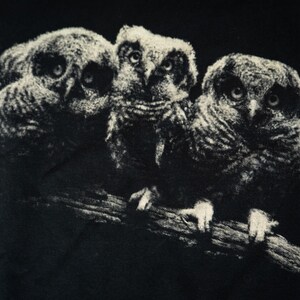 Close Up featuring a monochrome print of three owls perched on a branch in a dark vintage wildlife style.