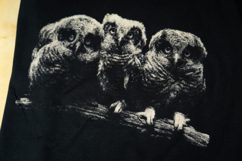 Close Up featuring a monochrome print of three owls perched on a branch in a dark vintage wildlife style.