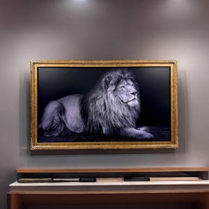 32" to 55" inch Ornate frame for Samsung The Frame and Frame Pro TV models, Marble Gold finish, not meant for use with other TVs