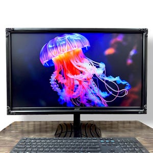 May include: A black computer monitor with an ornate, decorative frame featuring corner detailing. The screen displays a vibrant, glowing jellyfish with purple, orange, and blue tentacles against a dark background. The Acer logo is visible at the bottom.