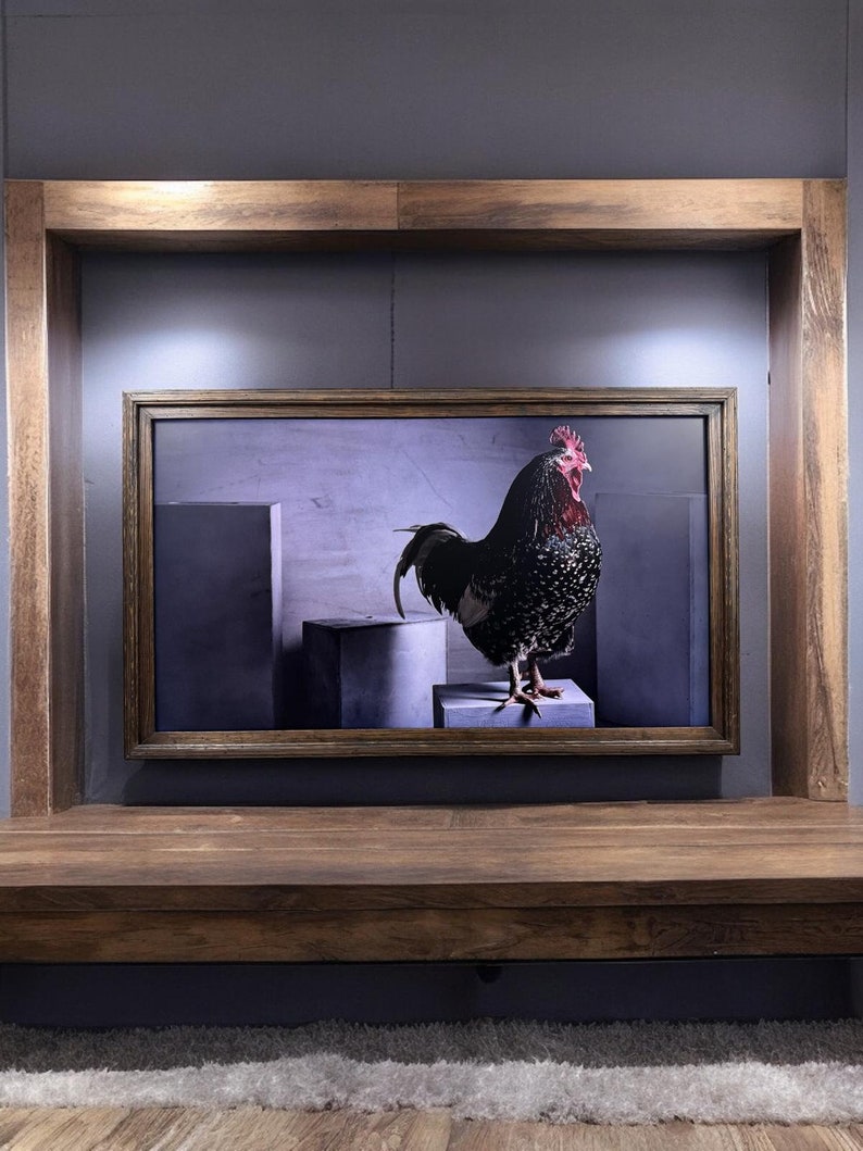 Puede incluir: Una pieza de arte mural rectangular enmarcada que presenta una fotograf&iacute;a de alto contraste de un gallo moteado en blanco y negro con una cresta roja brillante, de pie sobre un bloque gris sobre un fondo morado apagado, en un marco de madera oscura.