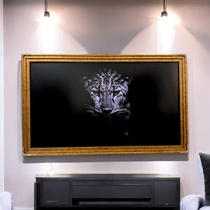 55 inch Hisense Canvas TV Ornate frame, Gold Marble finish, Canvas TV by Hisense, not meant for use with other TVs,