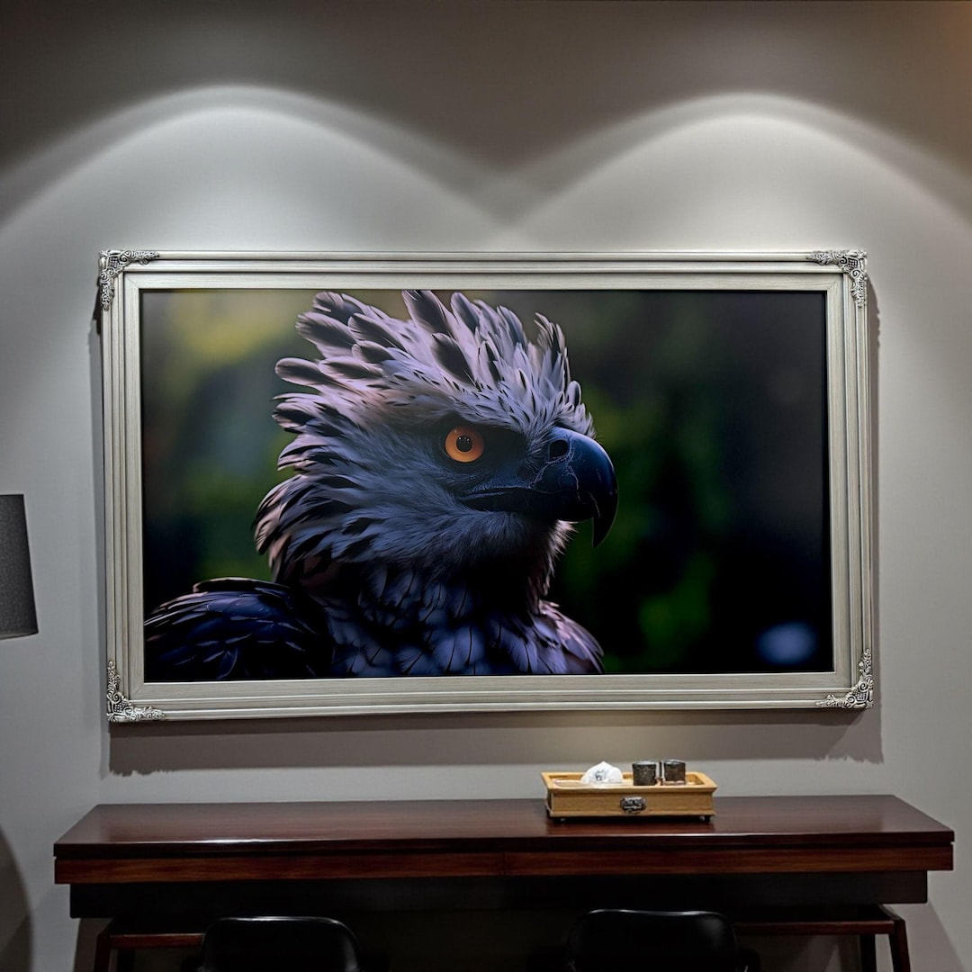 55, 65 & 75 Inch Hisense Canvas TV Ornate Frame, Antique Silver