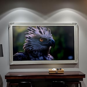 55, 65 & 75 Inch Hisense Canvas TV Ornate Frame, Antique Silver