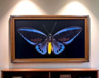 65 & 75 inch Ornate frame for Samsung The Frame TV and Frame Pro TV models, Colonial Maple finish,not meant for use with other TVs.