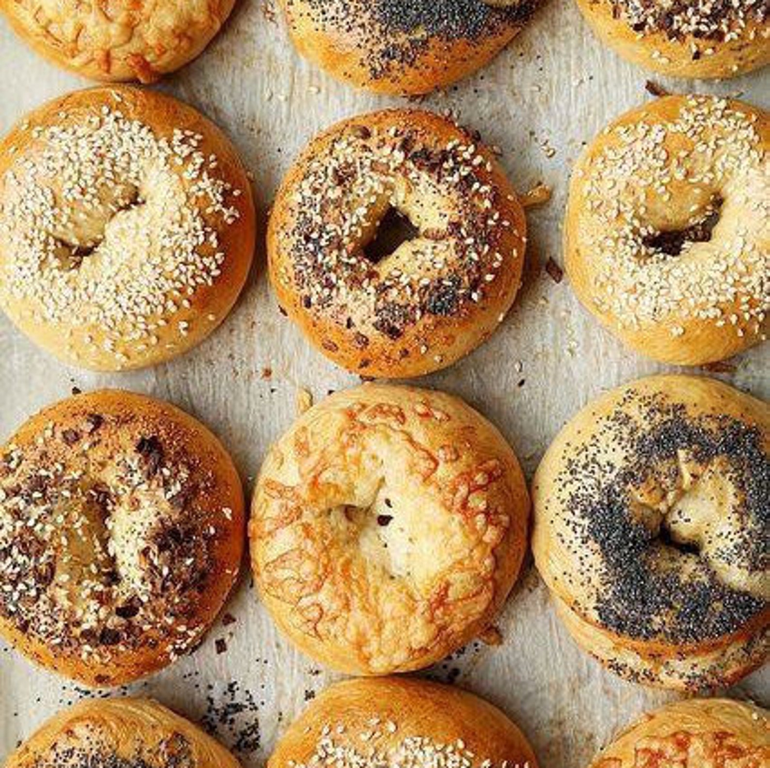 Choose a Dozen Fresh NYC Bagels From Our Assortment and We Will Have