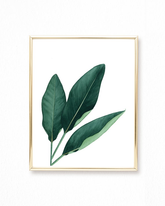 Watercolor Tropical Banana Leaf Painting Leaf Wall Art Etsy