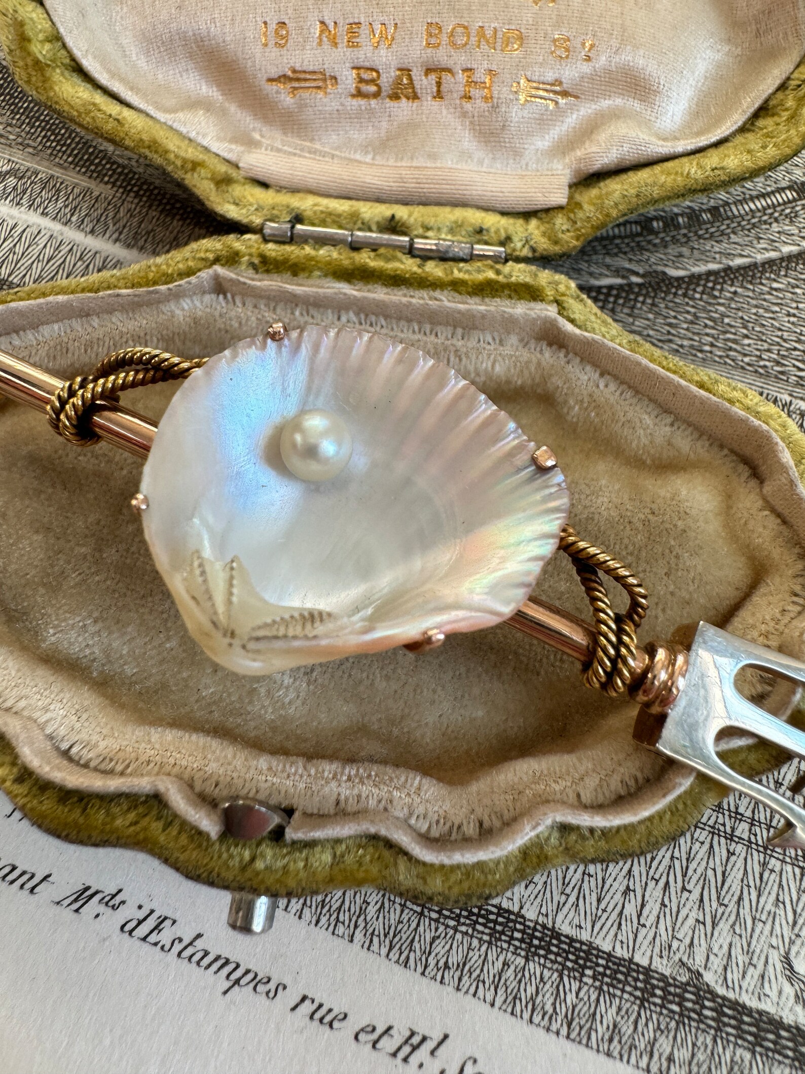 Antique Victorian Neotrigonia Shell Trident Broochc 1880 - Etsy