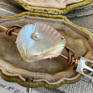 Antique Victorian Neotrigonia Shell Trident Broochc 1880 - Etsy