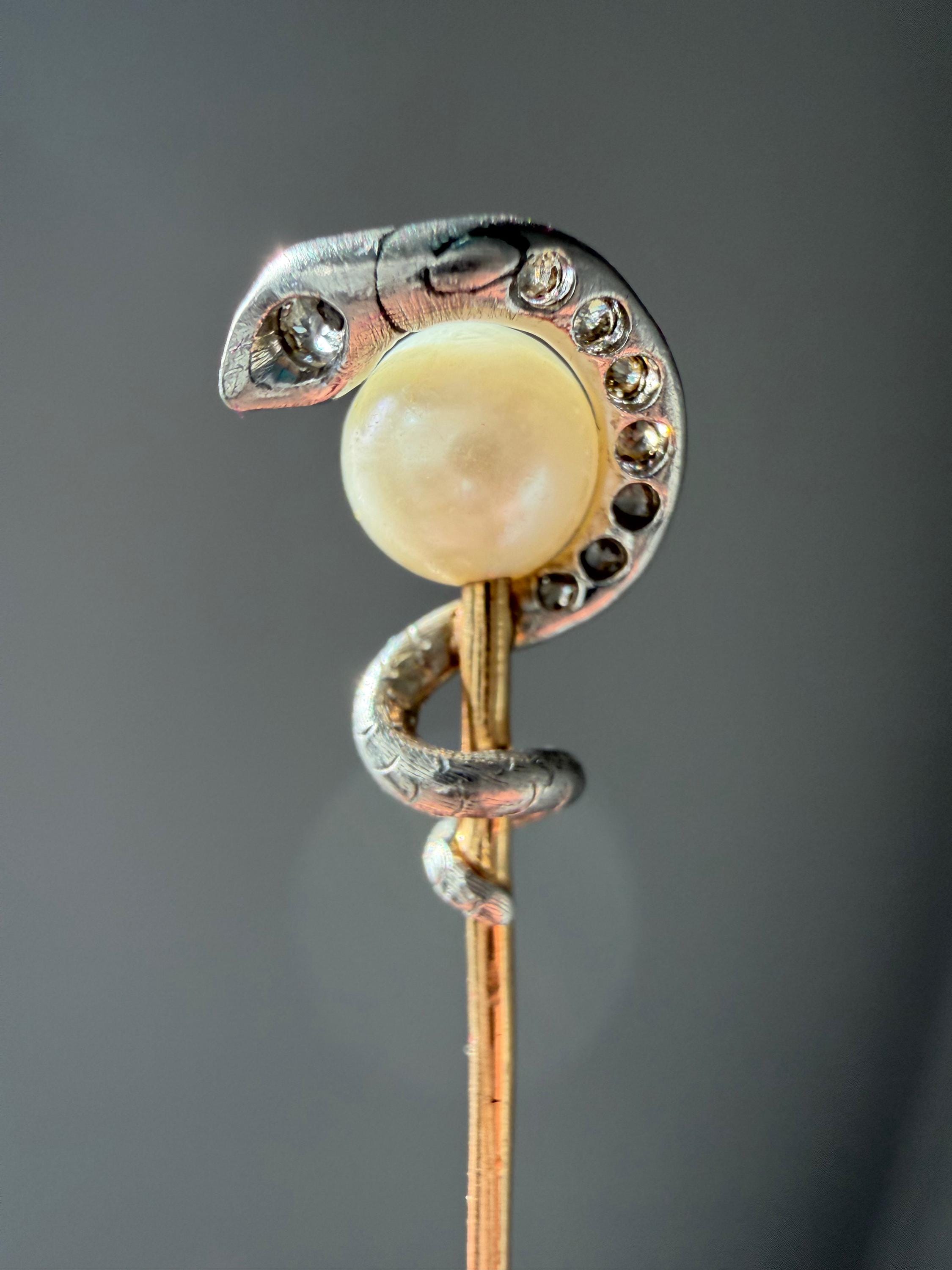 Stick Pin Snake Antique Diamond and Pearl Snake Stick Pin - Etsy